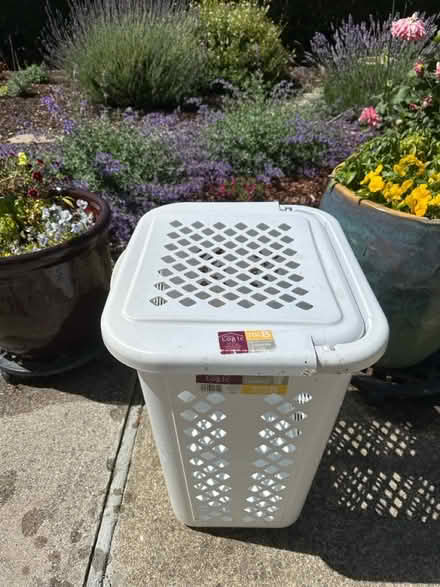 Photo of free Laundry hamper (Linda Mar area, Pacifica) #2