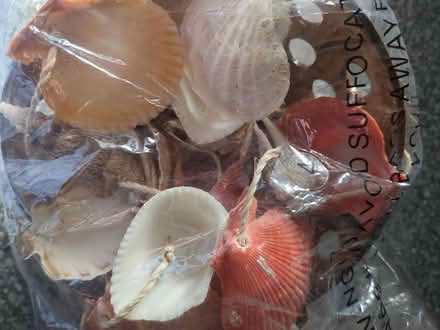 Photo of free Shell style windchime (Bedford MK40) #1