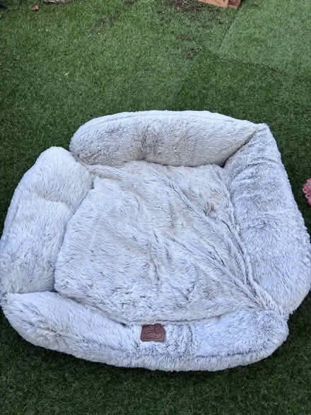 Photo of free Dog bed (Gu20) #1