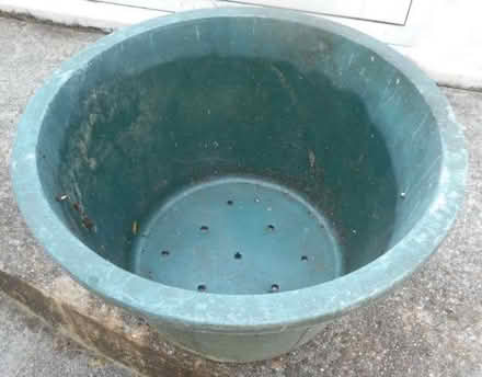Photo of free Large plastic flower pot (East Croydon CR0) #2