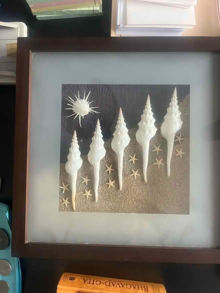 Photo of free Shell art shadow box (Lavender Hill SW11) #1