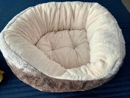 Photo of free Squishy Cuddly Cat Bed (Kendal LA9) #2