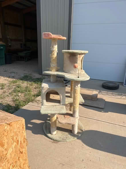 Photo of free Cat tower (Near Vine and Shields) #1