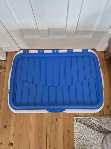 Photo of free Large plastic storage box (Lye Valley OX3) #4