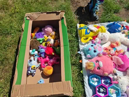 Photo of free soft toys (Marcham OX13) #2