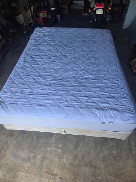 Photo of free Queen Bed (Oakmount Road 33765) #4