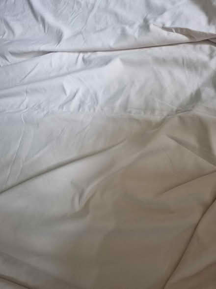 Photo of free Pair of curtains (SE20) #4