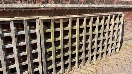 Photo of free Lattice fence panels (Spondon DE21) #1