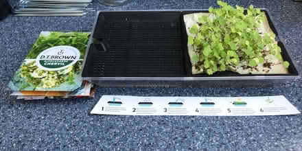 Photo of free Micro greens growing Kit (Coton Hill SY1) #1