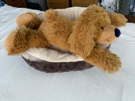 Photo of free Large Cuddly Floppy Dog (Kendal LA9) #4