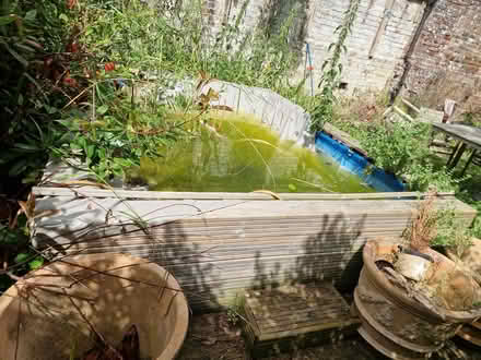 Photo of free Bestway 4x3m pool (Yapton) #3