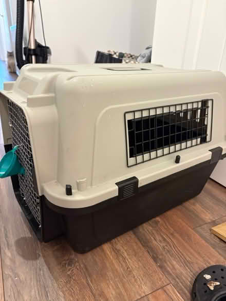 Photo of free carrier for cat or small dog (battlefield G42) #2