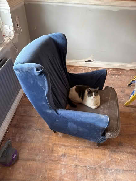 Photo of free Chair (B37 6DN) #3