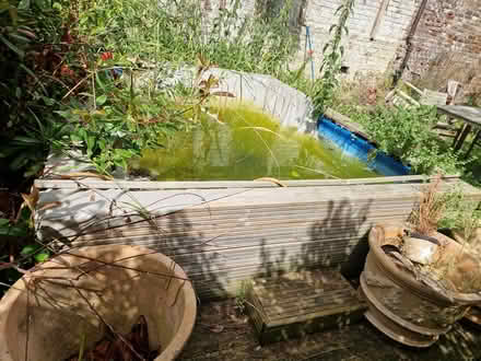 Photo of free Bestway 4x3m pool (Yapton) #2