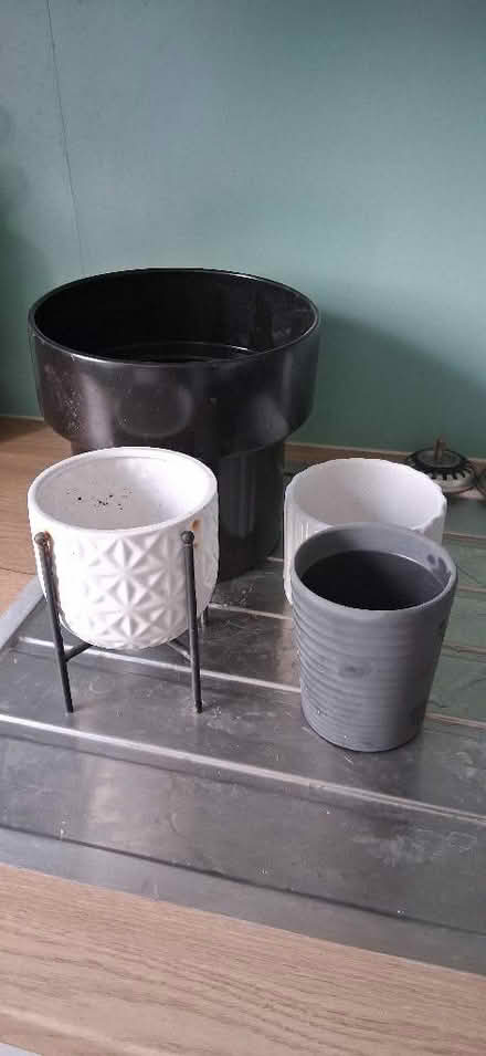 Photo of free Planters for indoor plants (Godinton Park TN23) #1