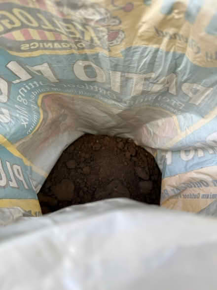 Photo of free Excellent garden (not potting) soil (Coronado) #1