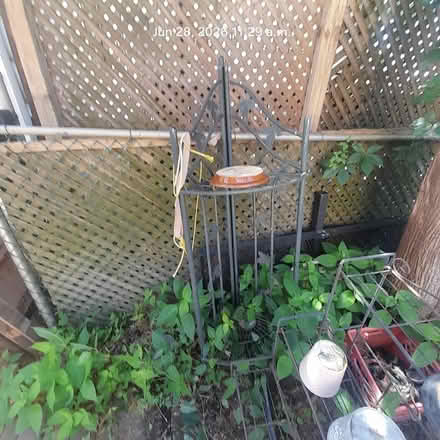 Photo of free Plant Stands (22 Thirty Eighth Street, Etob) #2