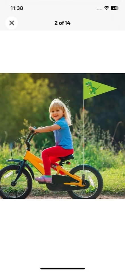 Photo of free 2 Winnie the Pooh cycle flags (Underdale SY2) #2