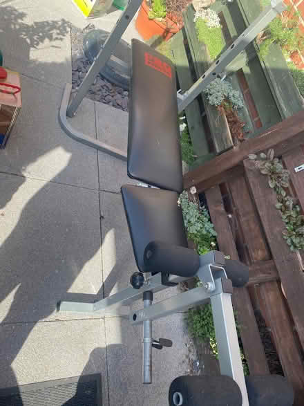 Photo of free PRO POWER workout bench (Kimberley NG16) #1
