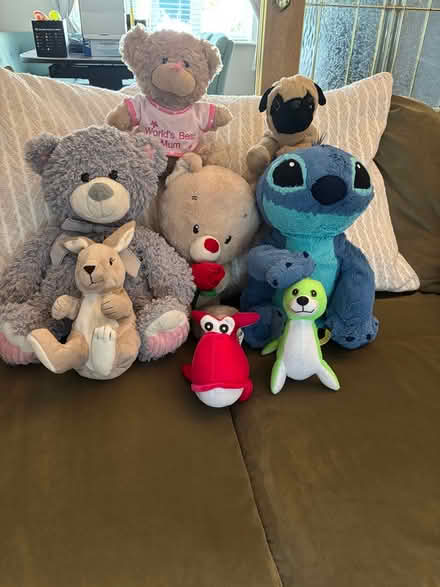 Photo of free Teddies need a new home (Navan, Athlumney Wood) #1