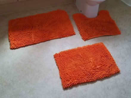 Photo of free Bathroom Mats (Barnard's Green WR14) #1