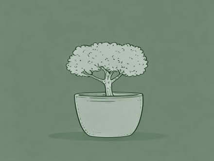 Photo of Terrecotta tree pot (Chelsea SW10) #1