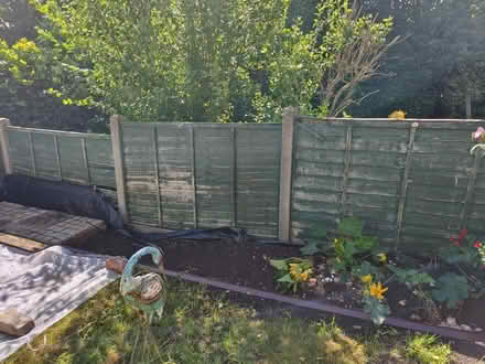 Photo of free Fence panels 4foot (Presteigne LD8) #2