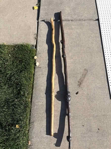 Photo of free Walking sticks (Colbert) #1