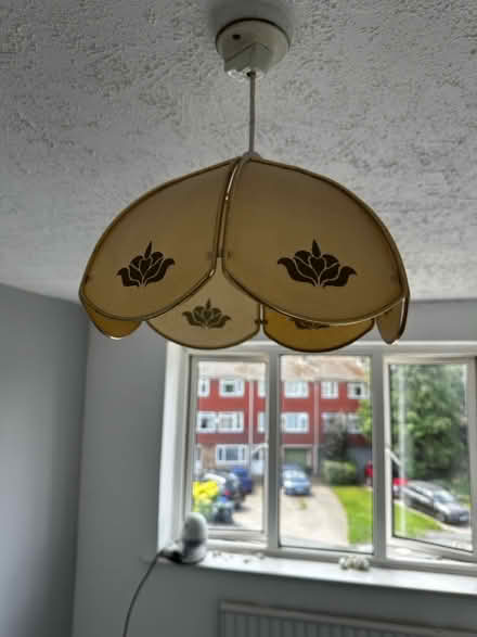 Photo of free Lampshades (SL0 0pt) #3
