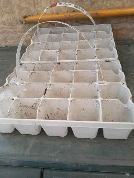 Photo of free Cell plant trays (Selsley GL5) #1