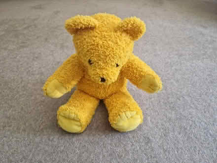 Photo of free Teddy (Tunbridge Wells N. TN4) #1