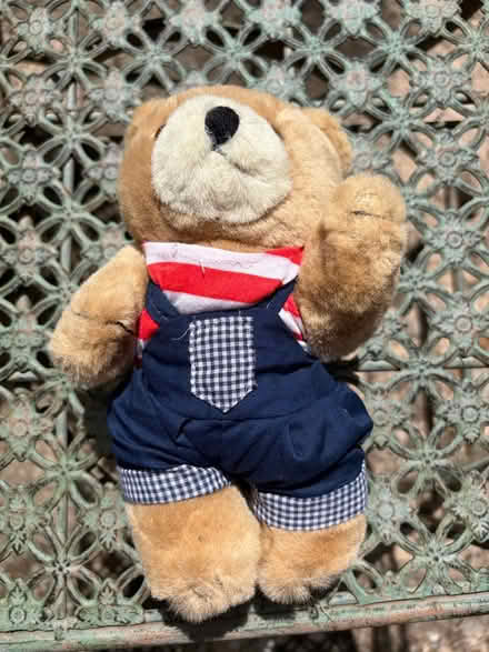 Photo of free Teddy Bear (Westbury Wilts BA13) #1