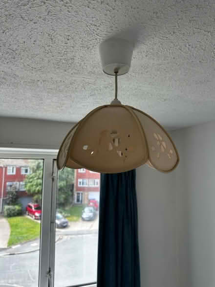 Photo of free Lampshades (SL0 0pt) #1