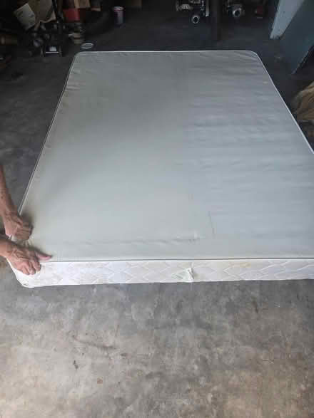 Photo of free Queen Bed (Oakmount Road 33765) #2
