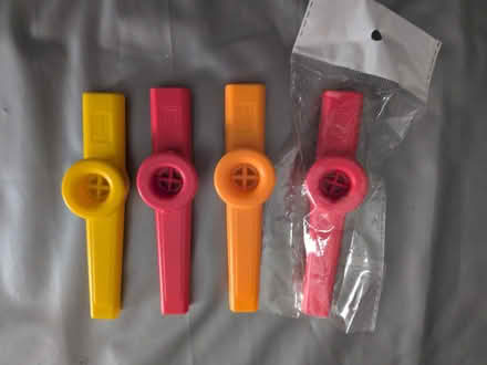 Photo of free Kazoos (Sion Hill BA1) #1