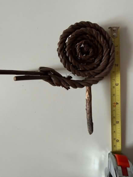 Photo of free Small snail for indoor plant pots (Salford M30) #2
