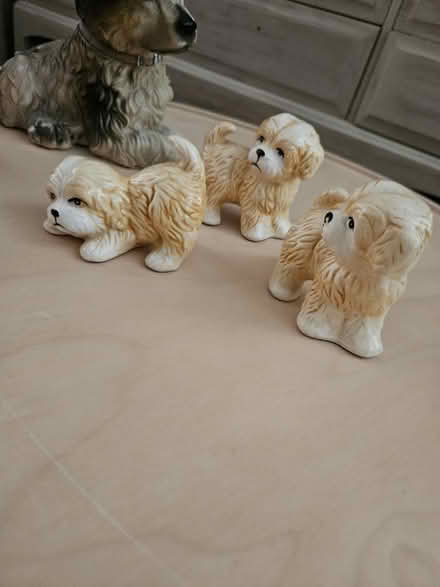 Photo of free Ornaments (Handsworth) #2