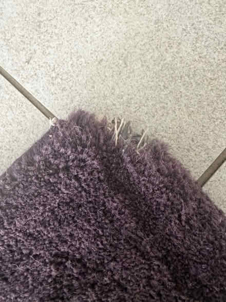 Photo of free Rug (Mulberry colour) (Chester CH3) #2