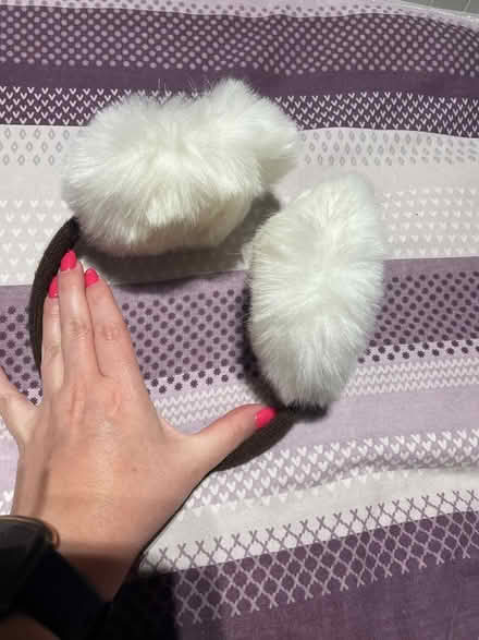 Photo of free Earmuffs (East Cliff BH1) #2