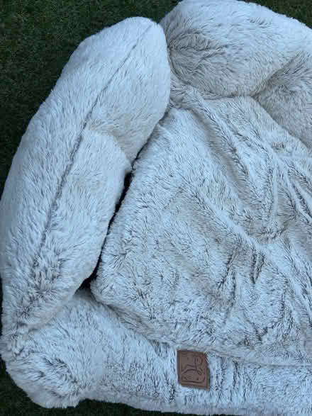 Photo of free Dog bed (Gu20) #2