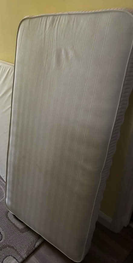 Photo of free Cot mattress (Hailsham BN27) #1
