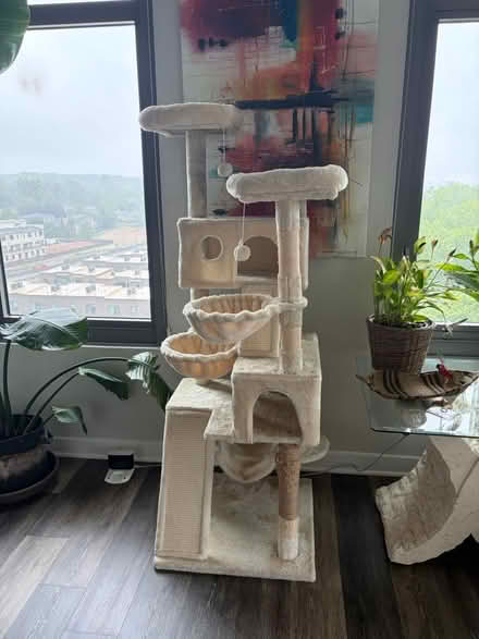 Photo of free Indoor cat tree (Chevy Chase) #1