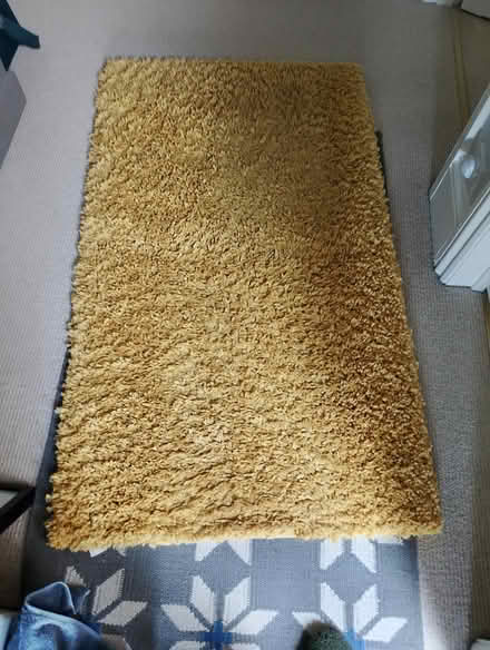 Photo of free Washable mustard rug (Okehampton Devon) #2