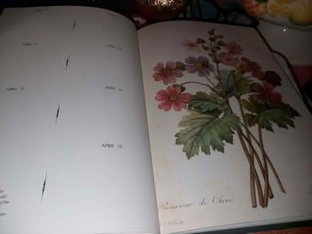 Photo of free Book for art/craft project? (Weybridge KT13) #4