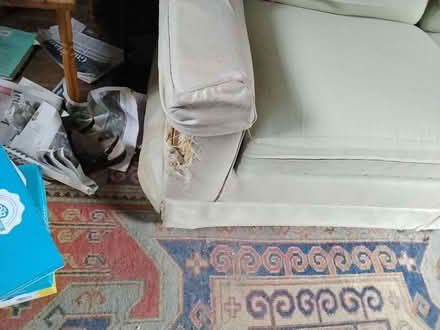 Photo of free Sofa bed (Clungunford SY7) #3
