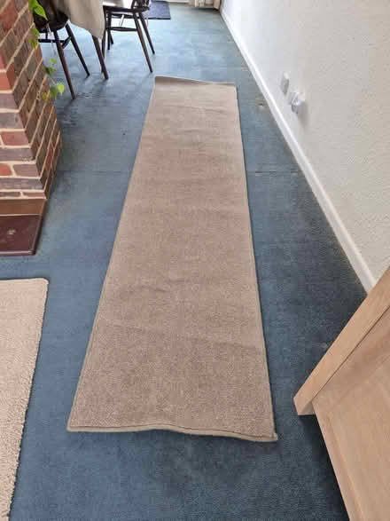 Photo of free Rug (Felpham PO22) #1