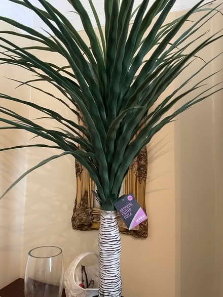 Photo of free Fake plant (Olive Mount L15) #1