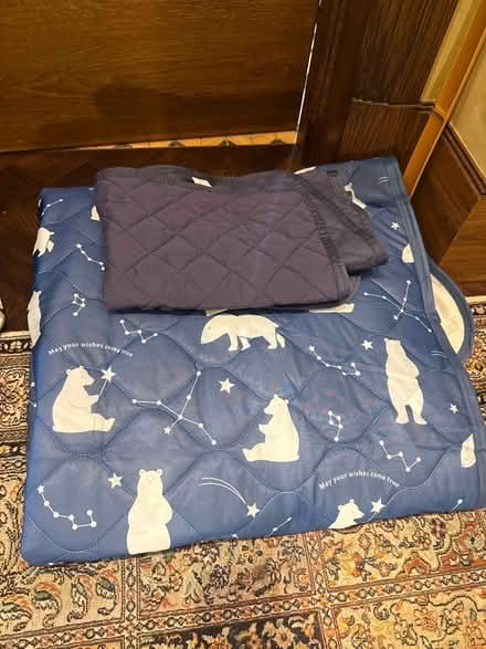 Photo of free Cooling mattress and pillow covers from Japan (Earls Court SW5) #1