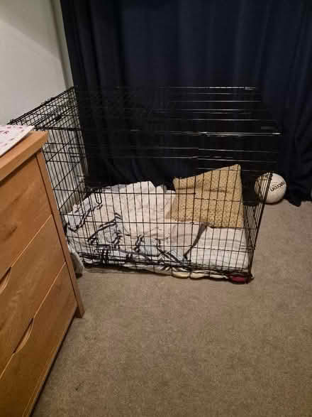 Photo of free large black 2 door dog crate (Earlham NR5) #1