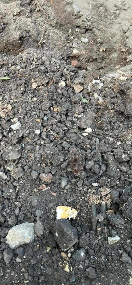 Photo of free Garden soil (Shoscombe BA2) #1